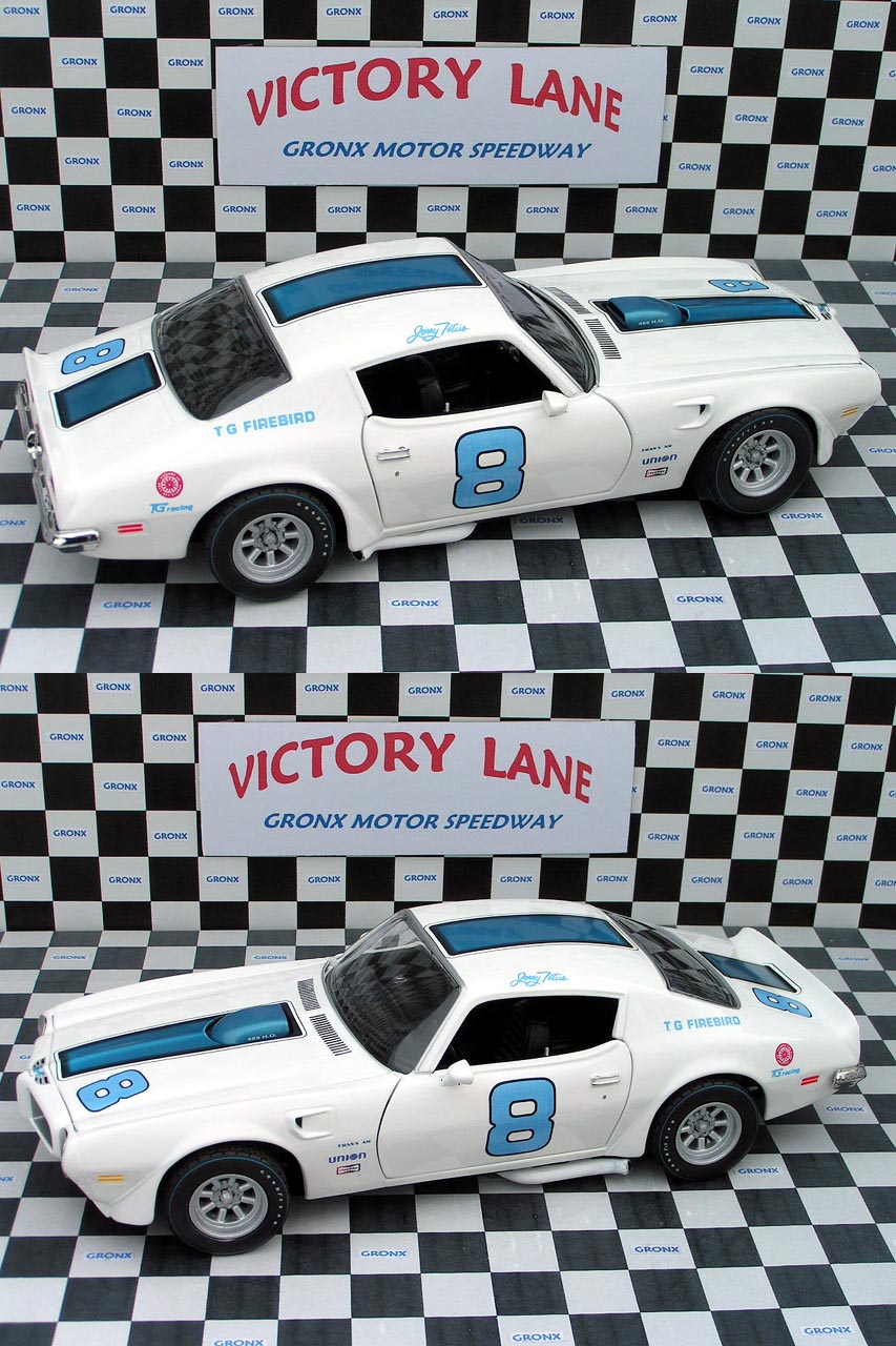 #31 Steve Park Whelen Racing 1/64th HO Scale Slot Car Decals 